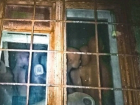 Выглядывающая из окна загадочной квартиры армия «зомби» ужаснула жителей Ростова