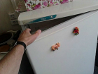 Двое злоумышленников незаметно унесли холодильник из магазина бытовой техники в Ростовской области