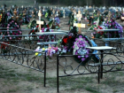 Могилы на новом ростовском кладбище начнут появляться уже осенью
