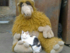Дружба пришельца и кота растрогала горожан в Ростовской области