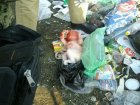 Оставившую мертвого младенца в мусорном баке рыжеволосую женщину разыскивают в Ростове