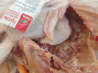 «Фаршированную» личинками червей курицу продает популярный гипермаркет в Ростове 