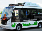 Новый девятый микрорайон и закупку электробусов пообещали Ростову