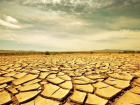 Календарь: 17 июня во всем мире отмечают день борьбы с опустыниванием и засухой