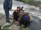 Застрявшего между камней в реке мужчину вытащили спасатели в Ростовской области
