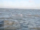 В Ростовской области рыбак поймал сетью беспилотник из Азовского моря 