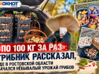 «По 100 кг за раз»: грибник рассказал, где в Ростовской области начался небывалый урожай грибов