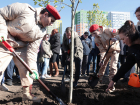 Новый парк в честь 80-летия Победы в Великой Отечественной войне заложили в Ростове