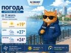 В Ростове в последний день лета потеплеет до +27 градусов