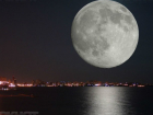 Космический вечер с «путешествием на Луну» проведут в публичной библиотеке для жителей Ростова