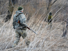 В Ростовской области разрешат охоту на волков и шакалов с 1 августа