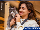 Кошки из ростовских приютов нашли любящих владельцев во время фестиваля WOOF