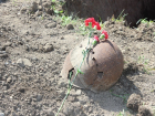 Поисковики «Миус-Фронта» нашли останки донского солдата: его внучка даже не вспомнила в какую войну он погиб