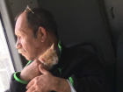 Пассажир с рыжим котенком поднял настроение и веру в человечность жителям Ростова