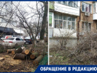 «Секретное» распоряжение: в Ростове под видом благоустройства снова спилили деревья