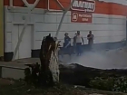 Непотушенный окурок спалил многолетнее дерево в Ростове