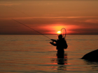 До июня в реке Дон частично запретят вылов рыбы