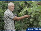 Бывший руководитель ростовского перинатального центра после конфликта с минздравом ушел из медицины и стал фермером