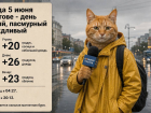 В Ростове ожидаются дожди, сильная магнитная буря и пасмурная погода