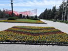На улицах Ростова высадили 43 тысячи летних цветов