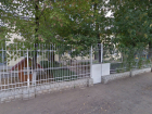 В Каменске-Шахтинском сохранят Дом ребенка, который грозились закрыть