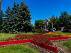 В Ростове высадили 864 тысячи цветов и 2 тысячи деревьев