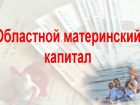 Ростовские мамы, имеющие право на региональный маткапитал, чаще тратят его на улучшение жилищных условий