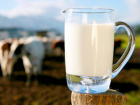 В Ростовской области задержали полторы тонны молока