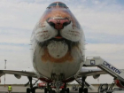 Двухпалубный Boeing 747-400 из-за непогоды приземлился в аэропорту "Платов"