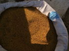 Алчный "агроном" утащил семян на целое поле в Ростовской области