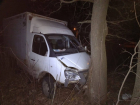 В Ростовской области водитель «Газели» погиб после столкновения с деревом