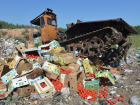 В Ростове 20 тонн кабачков и томатов из Турции были раздавлены бульдозером 