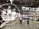 Ростовская область ждет от петербургского экономического форума выгодных контрактов