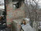 Милосердная жительница Ростова умоляет  помочь оставшимся без хозяина обгоревшим котикам и собакам 