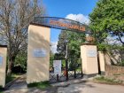 В Ростове на Крещение вход в ботанический сад сделают бесплатным 