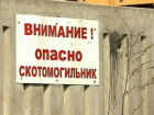 В Ростовской области ликвидировали 170 скотомогильников