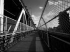 Фотовыставка, исследующая отношения человека с городом, открылась в РОМИИ