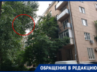 В Ростове большая ветка дерева готова упасть на головы посетителей поликлиники