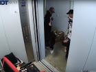 Стали известны предполагаемые жестокие убийцы кошки на Суворовском