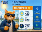 На первое сентября синоптики обещают жару до +28