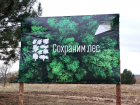 Бизнесвумен за незаконную рубку деревьев оштрафовали на 1 млн рублей в Ростовской области