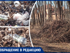 В Ростове с наступлением весны роща обросла мусором и сухостоем 