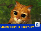 Срочно сниму квартиру