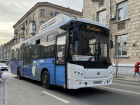Для автобусов двух маршрутов из центра до Ростовского моря нашли перевозчика