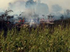 Крупный ландшафтный пожар потушили в Новочеркасске