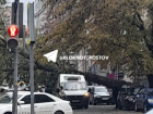 В Ростове из-за сильного ветра упало более 20 деревьев