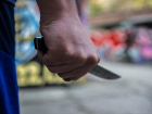 Вооруженный ножом ростовчанин напал на офис микрофинансовой организации