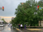 В Ворошиловском районе Ростова перекрыли движение из-за наклонившегося дерева