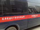 Мошенники убили своего подельника в лесополосе Ростовской области после провала дела