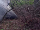 В лесополосе под Ростовом обнаружены огромные обломки БПЛА